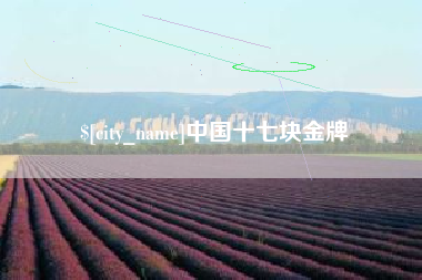 台州中国十七块金牌