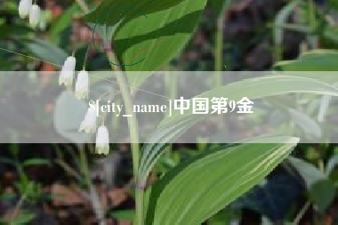 台州中国第9金