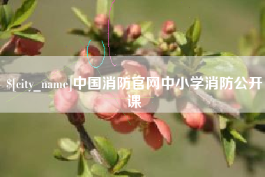 台州中国消防官网中小学消防公开课