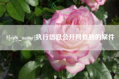 台州执行信息公开网查到的案件