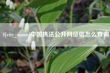台州中国执法公开网征信怎么查询