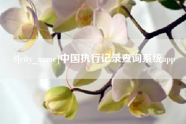 台州中国执行记录查询系统app
