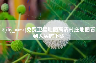 台州免费卫星地图高清村庄地图看到人实时下载