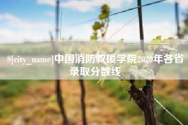 台州中国消防救援学院2020年各省录取分数线