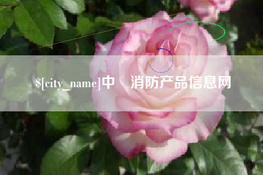台州中囯消防产品信息网
