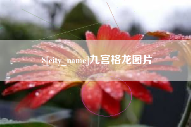 台州九宫格龙图片
