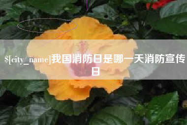 台州我国消防日是哪一天消防宣传日