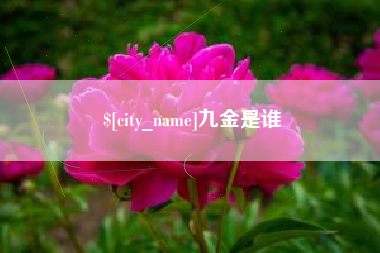 台州九金是谁