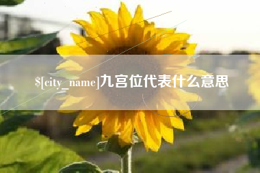 台州九宫位代表什么意思
