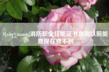 台州消防职业技能证书查询以前能查现在查不到