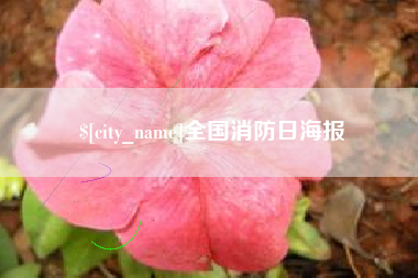 台州全国消防日海报
