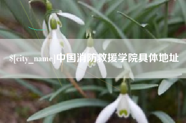台州中国消防救援学院具体地址