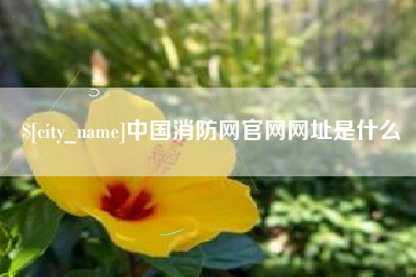 台州中国消防网官网网址是什么