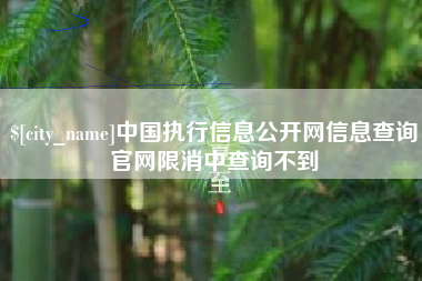 台州中国执行信息公开网信息查询官网限消中查询不到