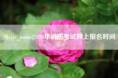 台州2020年消防考试网上报名时间