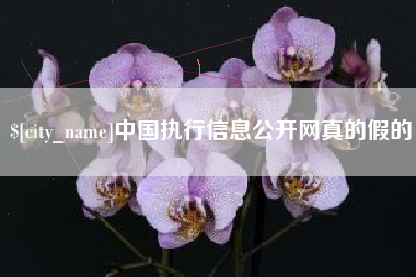 台州中国执行信息公开网真的假的