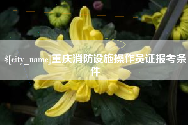 台州重庆消防设施操作员证报考条件