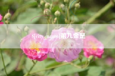 台州第九金是