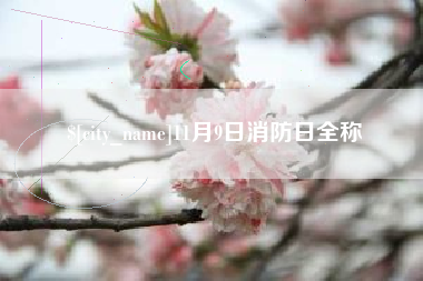 台州11月9日消防日全称