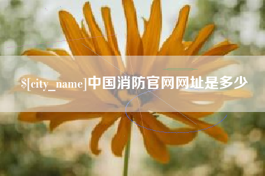 台州中国消防官网网址是多少