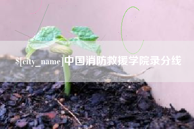 台州中国消防救援学院录分线