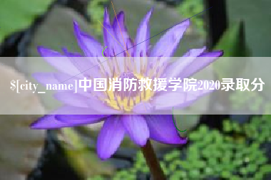 台州中国消防救援学院2020录取分