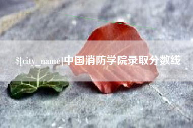 台州中国消防学院录取分数线