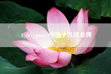 台州中国十九枚金牌