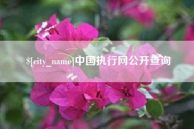 台州中国执行网公开查询