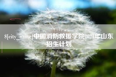 台州中国消防救援学院2021年山东招生计划