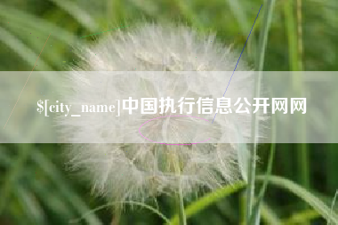 台州中国执行信息公开网网