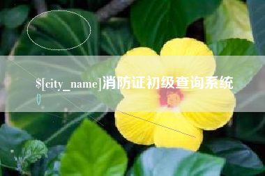 台州消防证初级查询系统