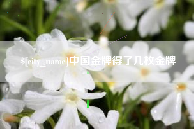 台州中国金牌得了几枚金牌