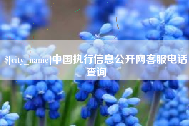 台州中国执行信息公开网客服电话查询