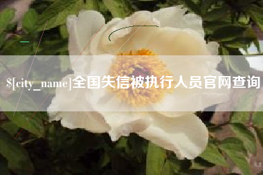 台州全国失信被执行人员官网查询