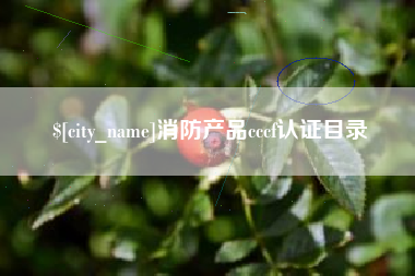 台州消防产品cccf认证目录