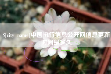 台州中国执行信息公开网信息更新时间是多久