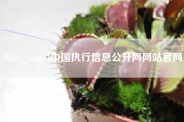 台州中国执行信息公开网网站官网