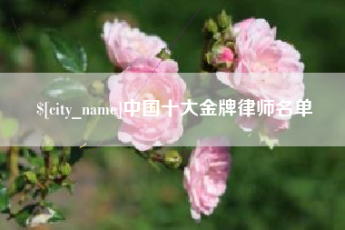 台州中国十大金牌律师名单