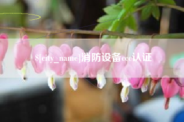 台州消防设备ccc认证