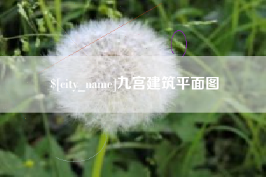 台州九宫建筑平面图