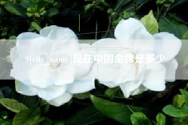 台州现在中国金牌是多少