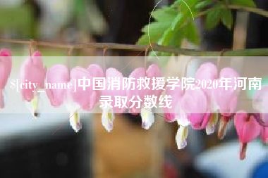 台州中国消防救援学院2020年河南录取分数线