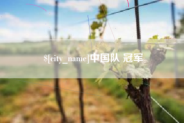 台州中国队 冠军