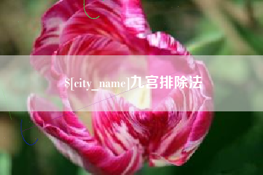 台州九宫排除法