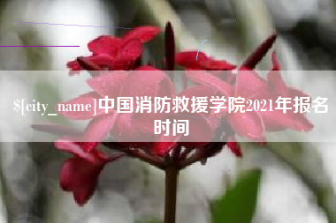台州中国消防救援学院2021年报名时间