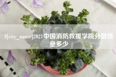台州2021中国消防救援学院分数线是多少