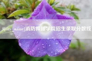 台州消防救援学院招生录取分数线