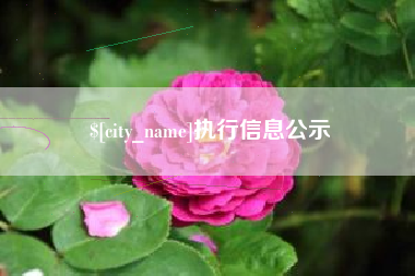 台州执行信息公示