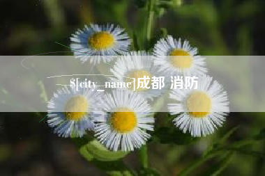 台州成都 消防